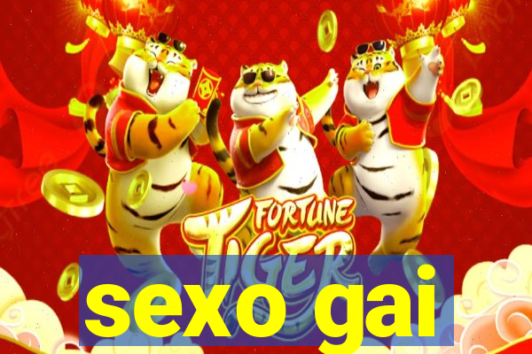 sexo gai